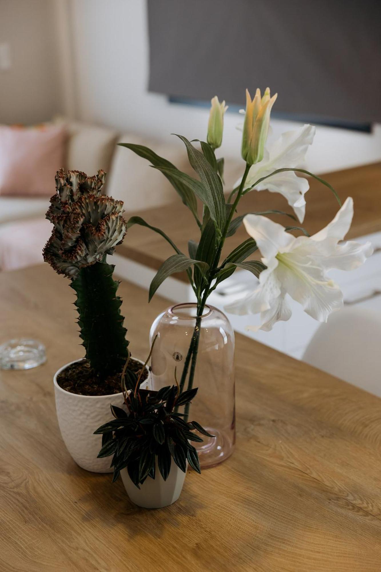 Appartement Serenity By Corfu Collection *